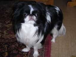 choupie_20211130_1560422677